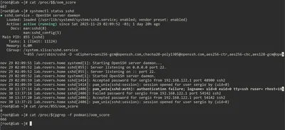 OOM Scores por proceso en /proc